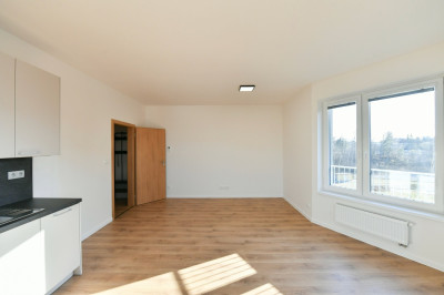 Pronájem bytu 1+kk v projektu U Pivovaru