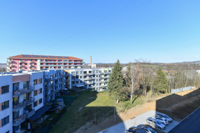 Pronájem bytu 1+kk v projektu U Pivovaru