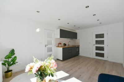 Zrekonstruovaný byt 2+kk, Praha - Krč