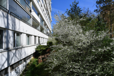 Zrekonstruovaný byt 2+kk, Praha - Krč