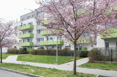 Byt 3+kk s garážovým stáním, Praha 10 - Uhříněves