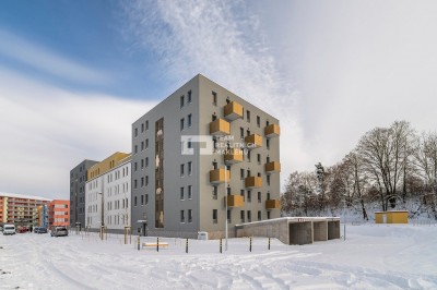 Byt 3+kk v developerském projektu U Pivovaru, Benešov (C.404)