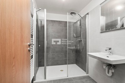 Byt 3+kk v developerském projektu U Pivovaru, Benešov (C.504)