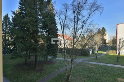 Pronájem, Byty 2+1,  51m2 - Praha - Strašnice