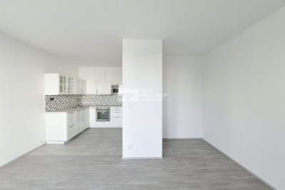 Pronájem, Byty 1+kk, 41m2 - Praha - Hlubočepy