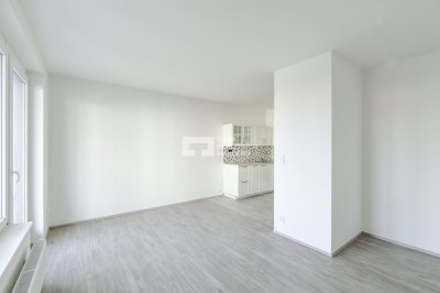 Pronájem, Byty 1+kk, 41m2 - Praha - Hlubočepy