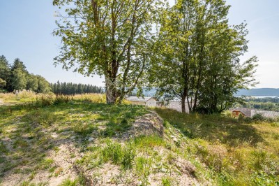 Prodej, Pozemky pro bydlení, 795 m2 - Lipno nad Vltavou - Slupečná