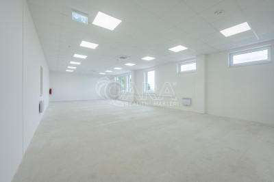 Business Park Divišov - pronájem haly A - 2 398 m²