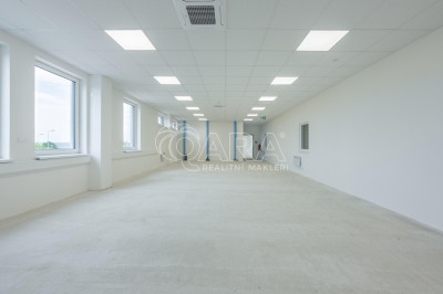 Business Park Divišov - pronájem haly A - 2 398 m²