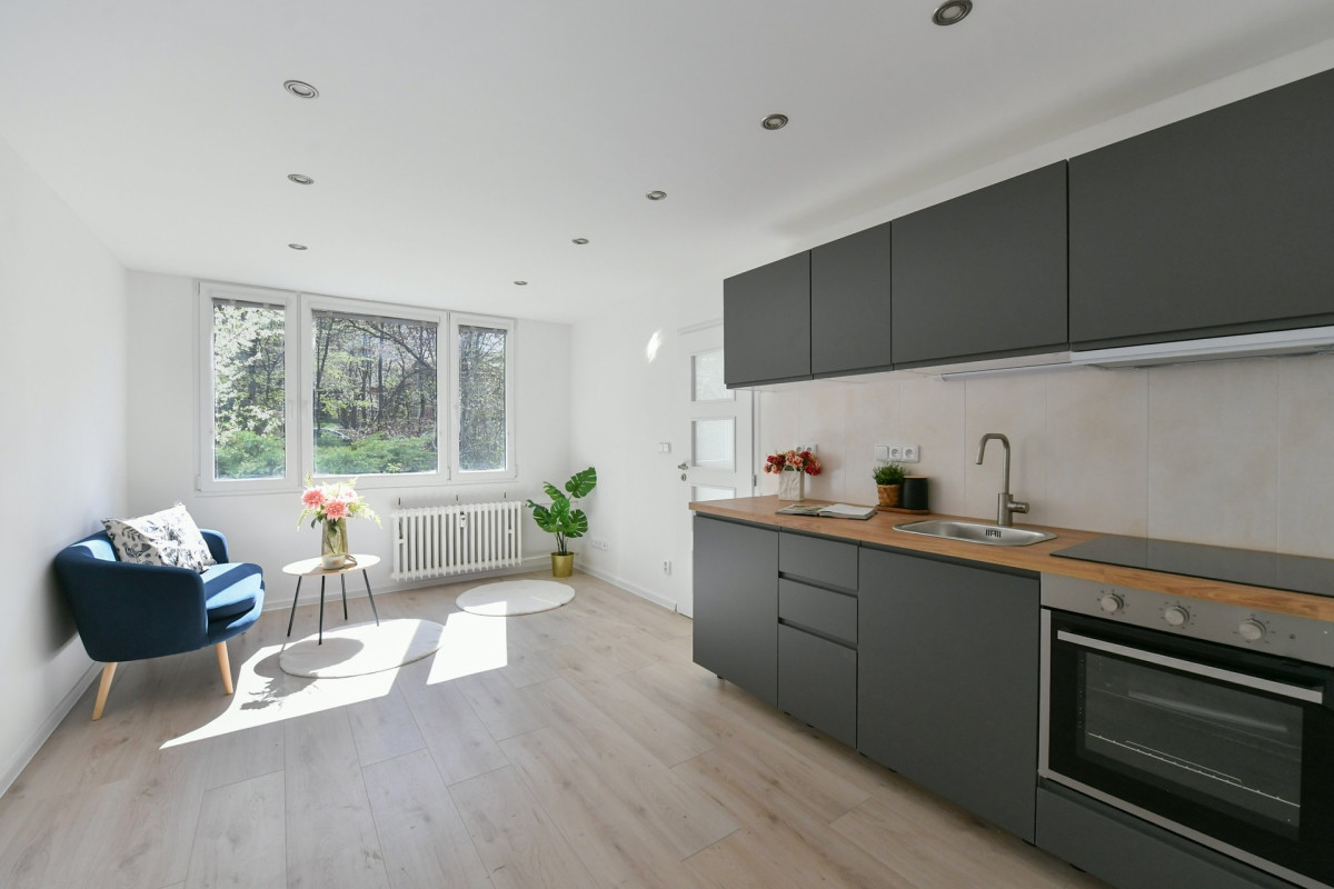 Zrekonstruovaný byt 2+kk, Praha - Krč